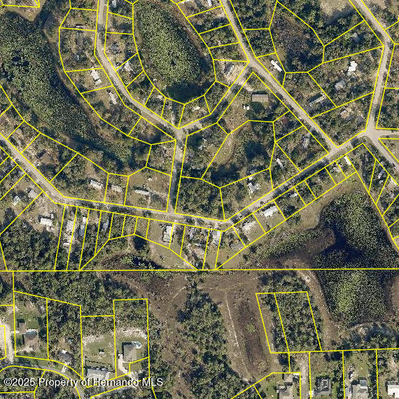 LOT1 Lake Dr, Weeki Wachee, FL 34613 - photo 2