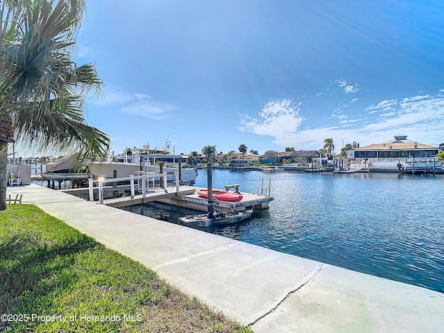 5509 Pilots Pl, New Port Richey, FL 34652 - photo 79