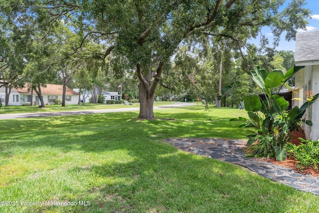 6195 Ocean Pines Ln, Spring Hill, FL 34606 - photo 21