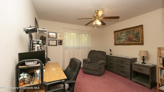 7488 Birdland, Spring Hill, FL 34607 - photo 28
