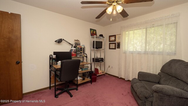 7488 Birdland, Spring Hill, FL 34607 - photo 30