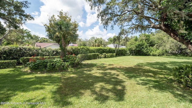 7488 Birdland, Spring Hill, FL 34607 - photo 44