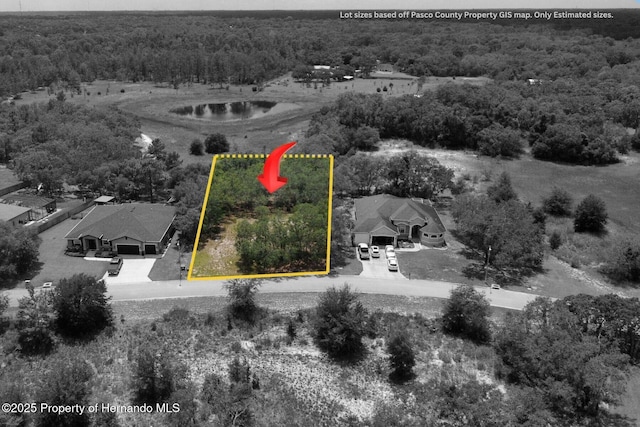 Lot5 Oggie, Hudson, FL 34667 - photo 10