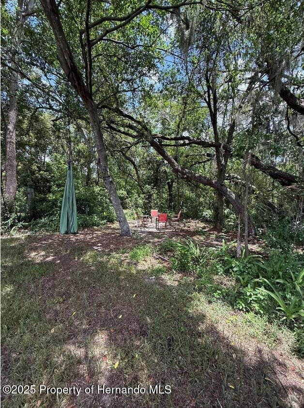 6270 Airmont Dr, Spring Hill, FL 34606 - photo 20