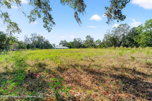 22325 Whitman Rd, Brooksville, FL 34601 - photo 10