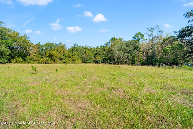 22325 Whitman Rd, Brooksville, FL 34601 - photo 25