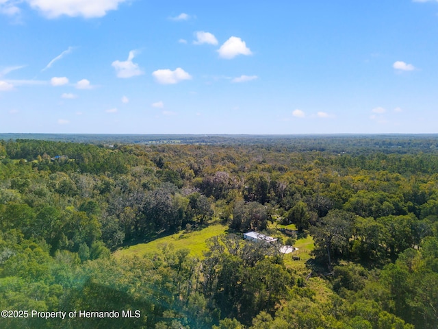 22325 Whitman Rd, Brooksville, FL 34601 - photo 28