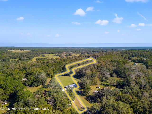22325 Whitman Rd, Brooksville, FL 34601 - photo 6