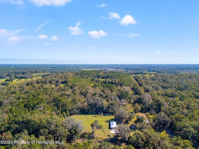 22325 Whitman Rd, Brooksville, FL 34601 - photo 29