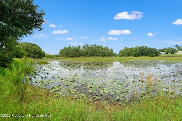 4619 Bayridge Ct, Spring Hill, FL 34606 - photo 49