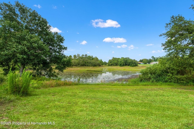 4619 Bayridge Ct, Spring Hill, FL 34606 - photo 48
