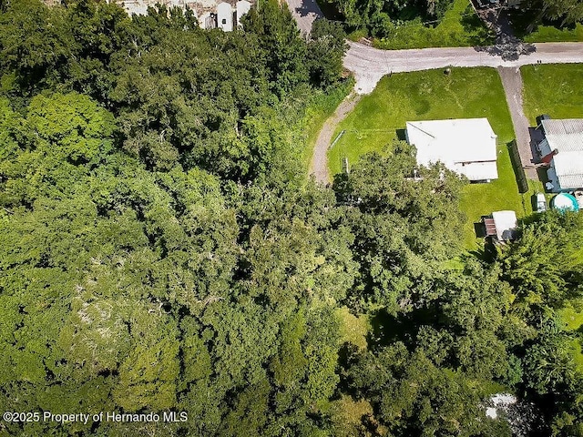 18392 Lee Ave, Brooksville, FL 34601 - photo 8