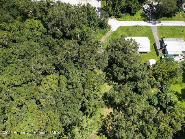 18392 Lee Ave, Brooksville, FL 34601 - photo 9