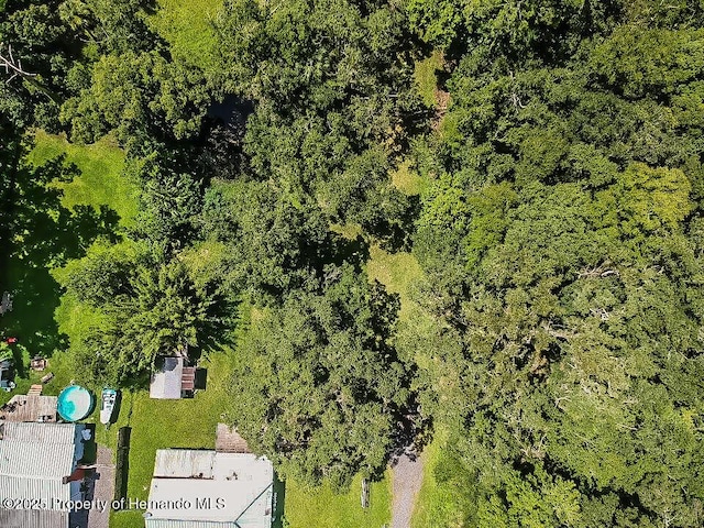 18392 Lee Ave, Brooksville, FL 34601 - photo 10