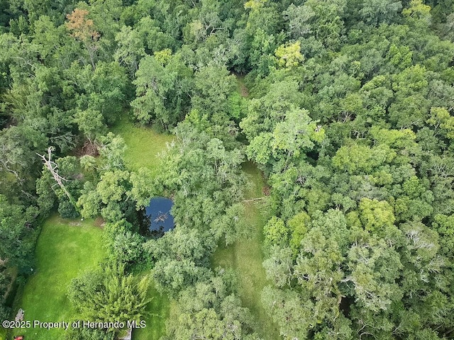 18392 Lee Ave, Brooksville, FL 34601 - photo 14