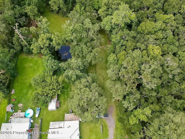 18392 Lee Ave, Brooksville, FL 34601 - photo 15
