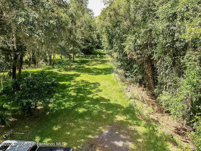 18392 Lee Ave, Brooksville, FL 34601 - photo 20