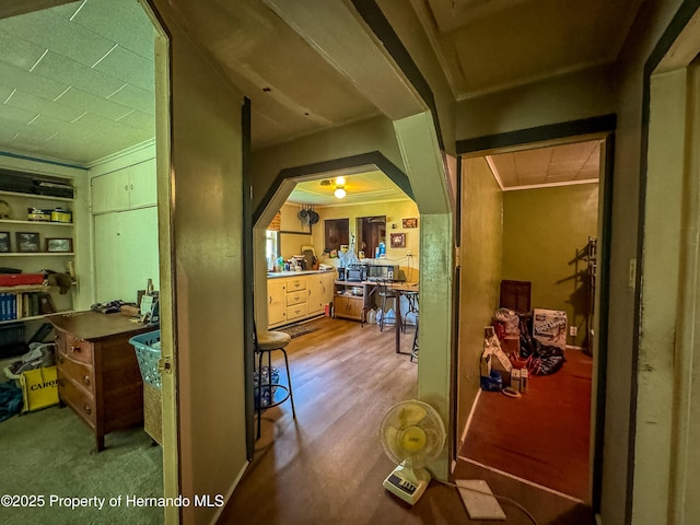 18392 Lee Ave, Brooksville, FL 34601 - photo 25