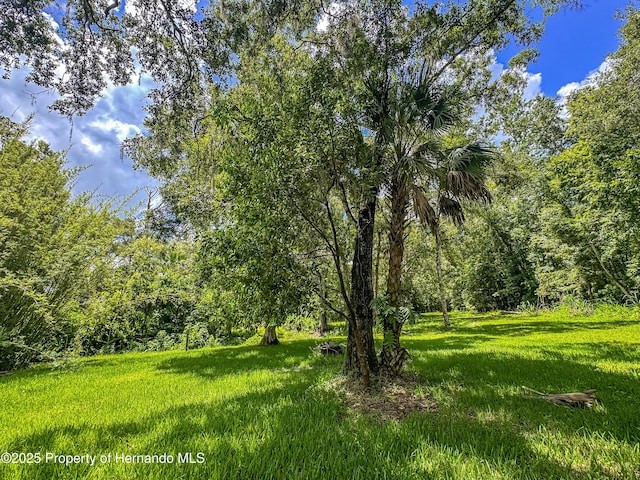 18392 Lee Ave, Brooksville, FL 34601 - photo 32