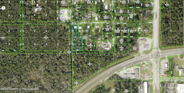 18392 Lee Ave, Brooksville, FL 34601 - photo 35