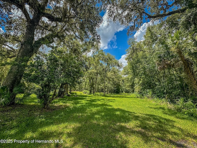 18392 Lee Ave, Brooksville, FL 34601 - photo 36