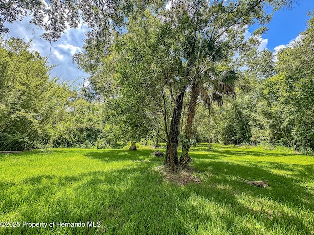 18392 Lee Ave, Brooksville, FL 34601 - photo 38