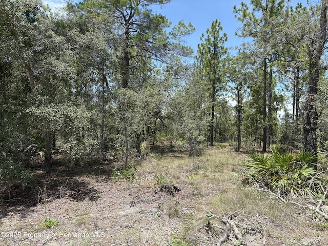 12179 Scarlet Ibis Ave, Brooksville, FL 34614 - photo 1