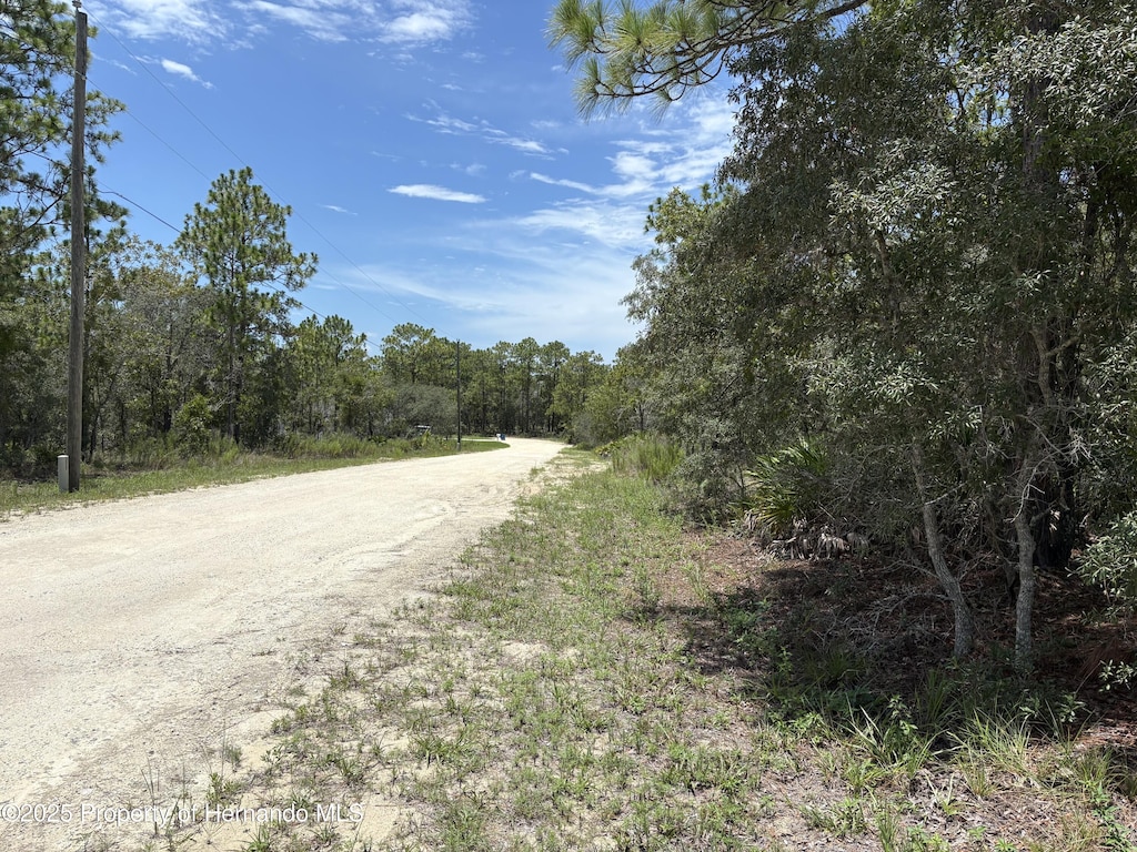 12179 Scarlet Ibis Ave, Brooksville, FL 34614 - photo 3