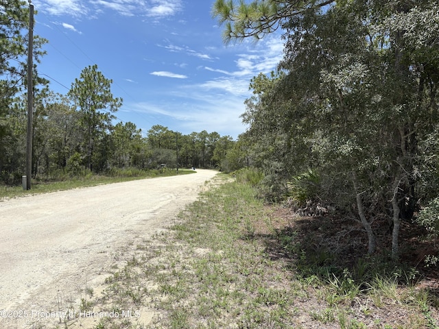 12179 Scarlet Ibis Ave, Brooksville, FL 34614 - photo 3
