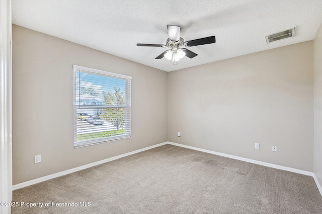 13040 Hanley Dr, Spring Hill, FL 34609 - photo 12