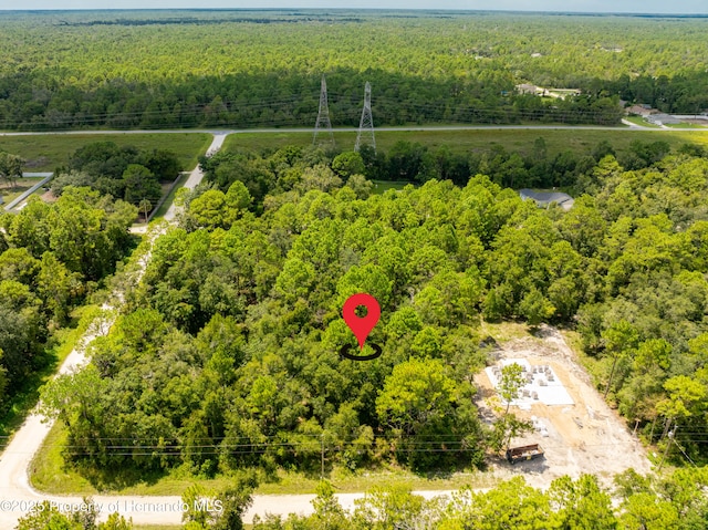 0 Canada Goose, Weeki Wachee, FL 34614 - photo 2