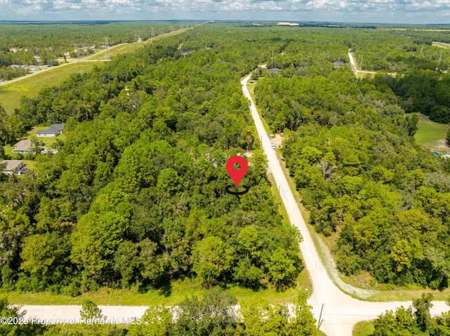 0 Canada Goose, Weeki Wachee, FL 34614 - photo 6