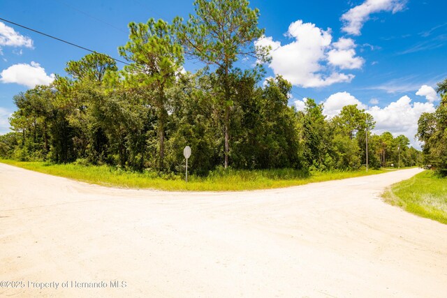 0 Canada Goose, Weeki Wachee, FL 34614 - photo 10