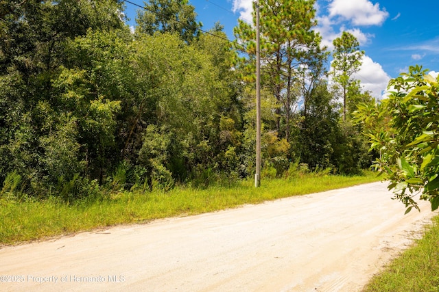 0 Canada Goose, Weeki Wachee, FL 34614 - photo 12
