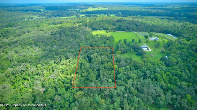 0 Whitman Rd, Brooksville, FL 34601 - photo 5