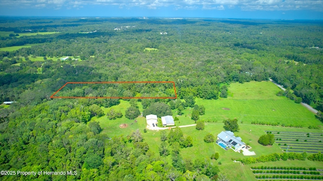 0 Whitman Rd, Brooksville, FL 34601 - photo 6