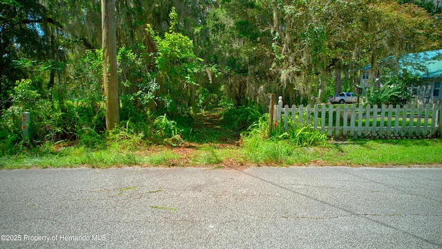 0 Whitman Rd, Brooksville, FL 34601 - photo 8