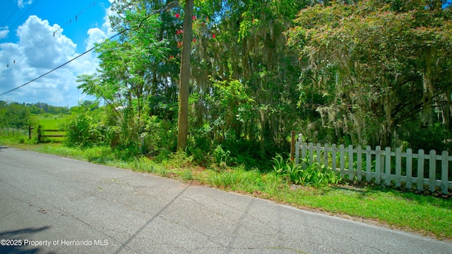 0 Whitman Rd, Brooksville, FL 34601 - photo 9