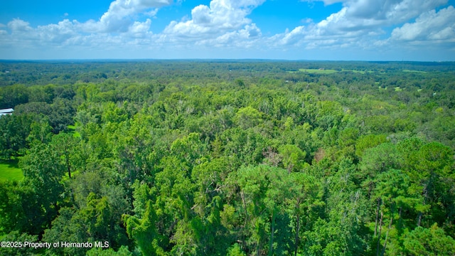 0 Whitman Rd, Brooksville, FL 34601 - photo 11