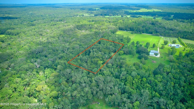 0 Whitman Rd, Brooksville, FL 34601 - photo 1