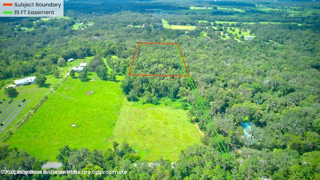 0 Whitman Rd, Brooksville, FL 34601 - photo 2