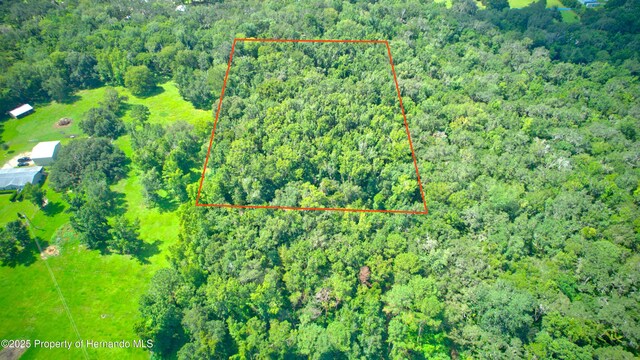 0 Whitman Rd, Brooksville, FL 34601 - photo 4