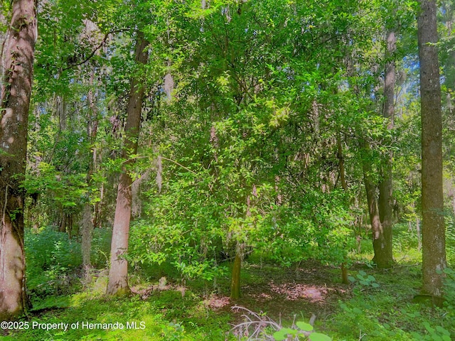 0 Whitman Rd, Brooksville, FL 34601 - photo 21
