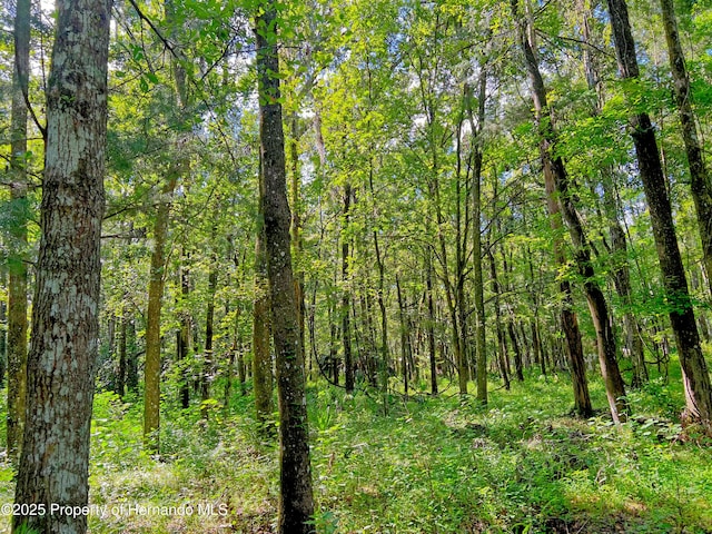 0 Whitman Rd, Brooksville, FL 34601 - photo 24
