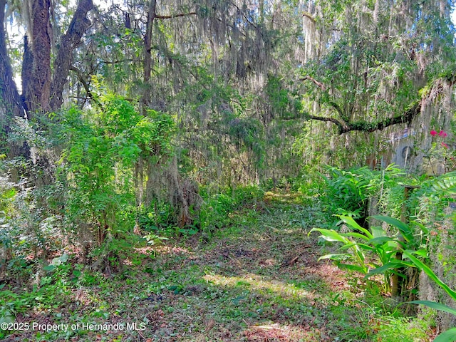 0 Whitman Rd, Brooksville, FL 34601 - photo 26