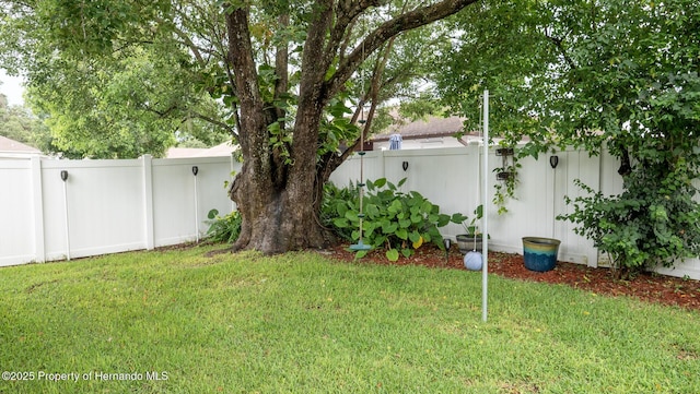12433 Willow Tree Ave, Hudson, FL 34669 - photo 39