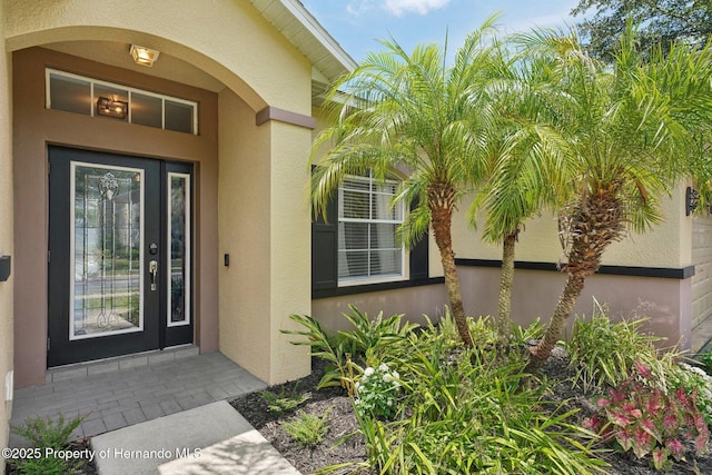 13116 Haverhill Dr, Spring Hill, FL 34609 - photo 4