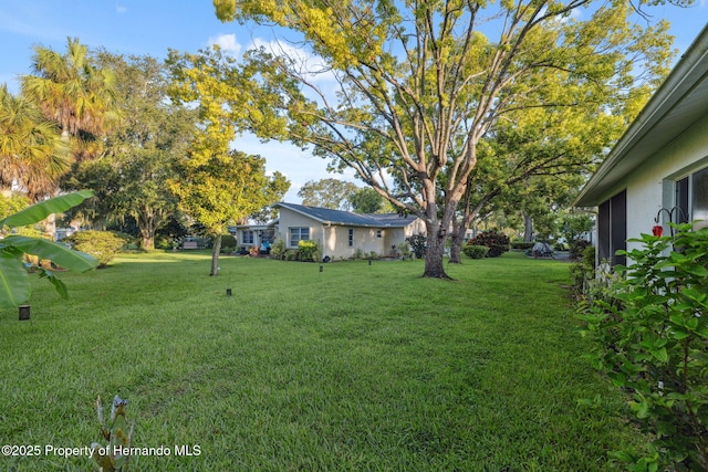 11115 Elderberry Dr, Port Richey, FL 34668 - photo 14
