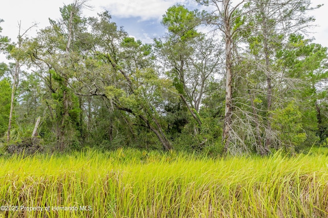 0 Bahama Swallow Ave, Weeki Wachee, FL 34613 - photo 10