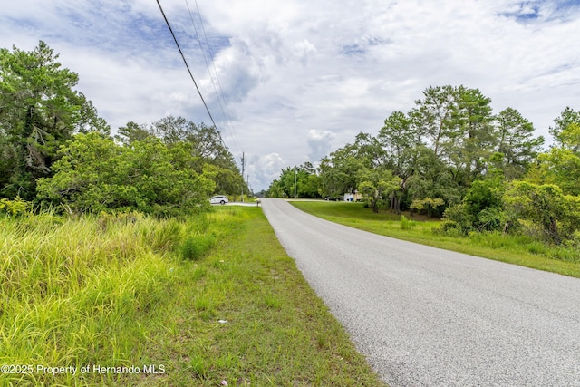 0 Bahama Swallow Ave, Weeki Wachee, FL 34613 - photo 3